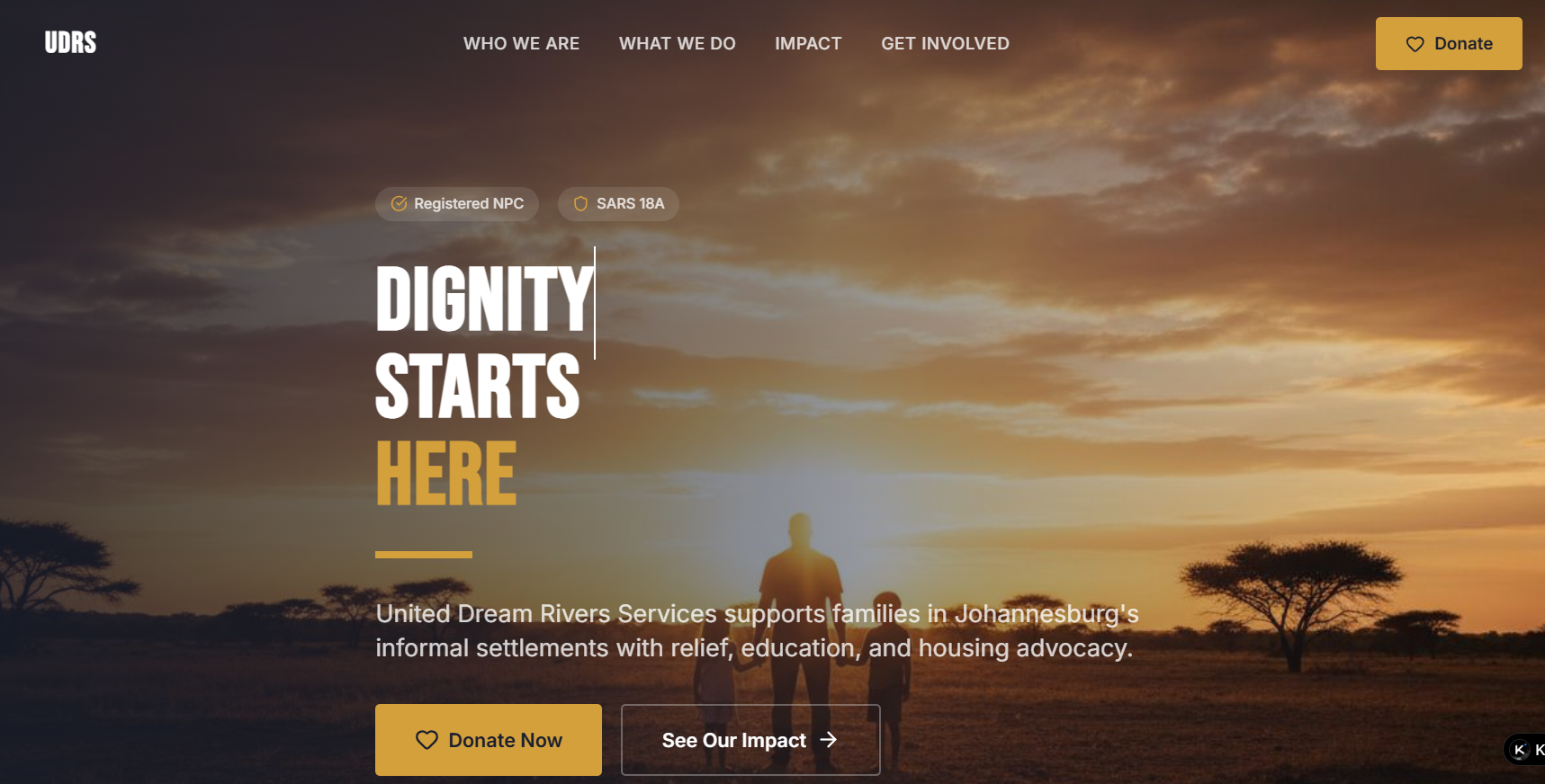 UDRS non-profit website Johannesburg